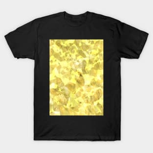 Golden Nugget Texture T-Shirt